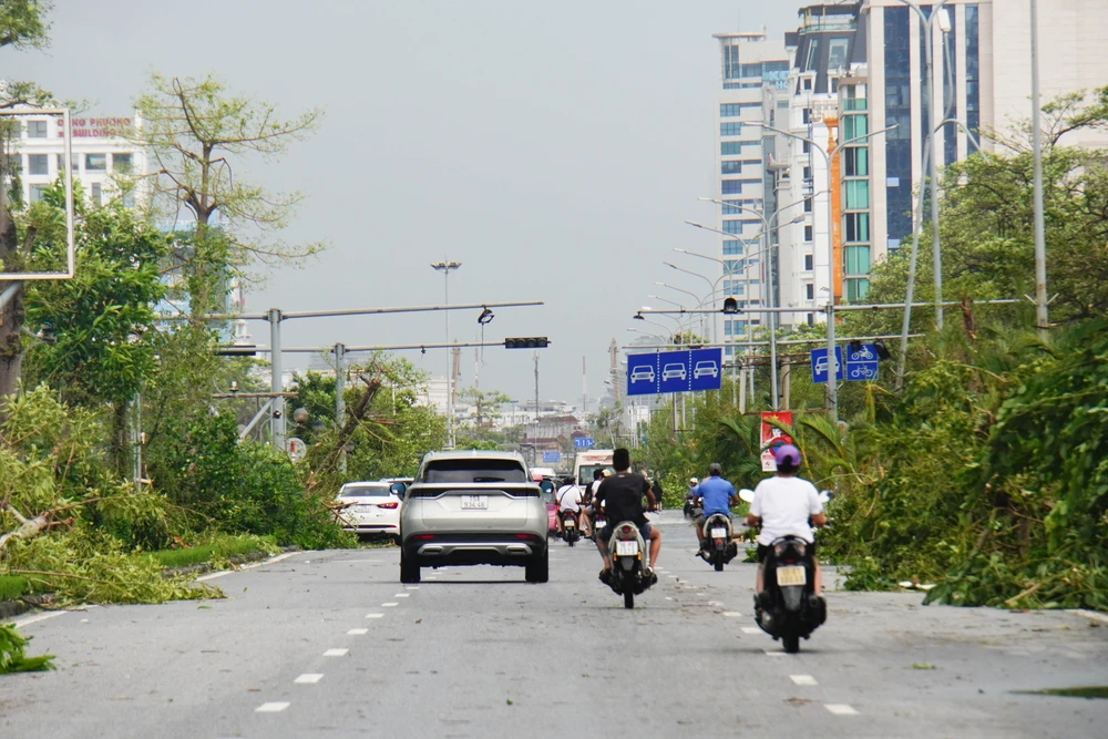 Đường Lê Hồng Phong - con đường đẹp nhất Hải Phòng tan hoang sau bão số 3. Ảnh: NGỌC SƠN