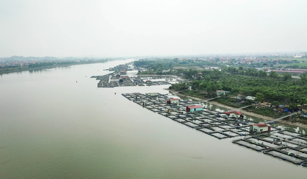 Khúc sông Kinh Thầy, đoạn từ ngã ba sông Kinh Thầy - sông Thái Bình đến cầu Bình (huyện Nam Sách, tỉnh Hải Dương) có đến hàng nghìn lồng nuôi cá. Theo thống kê của Sở Nông nghiệp và Môi trường Hải Dương, trên địa bàn huyện Nam Sách hiện có 3719 lồng, riêng nơi nhiều nhất là xã Nam Tân (trong ảnh) với 1.151 lồng. Ảnh: NS