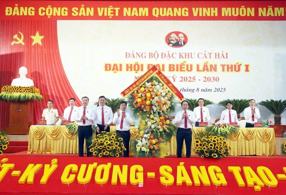 dac-khu-cat-hai-phai-tro-thanh-cuc-dong-luc-quan-trong-trong-chuoi-chuoi-logistics-cong-nghiep-du-lich-cua-vung-duyen-hai-bac-bo-2.jpg