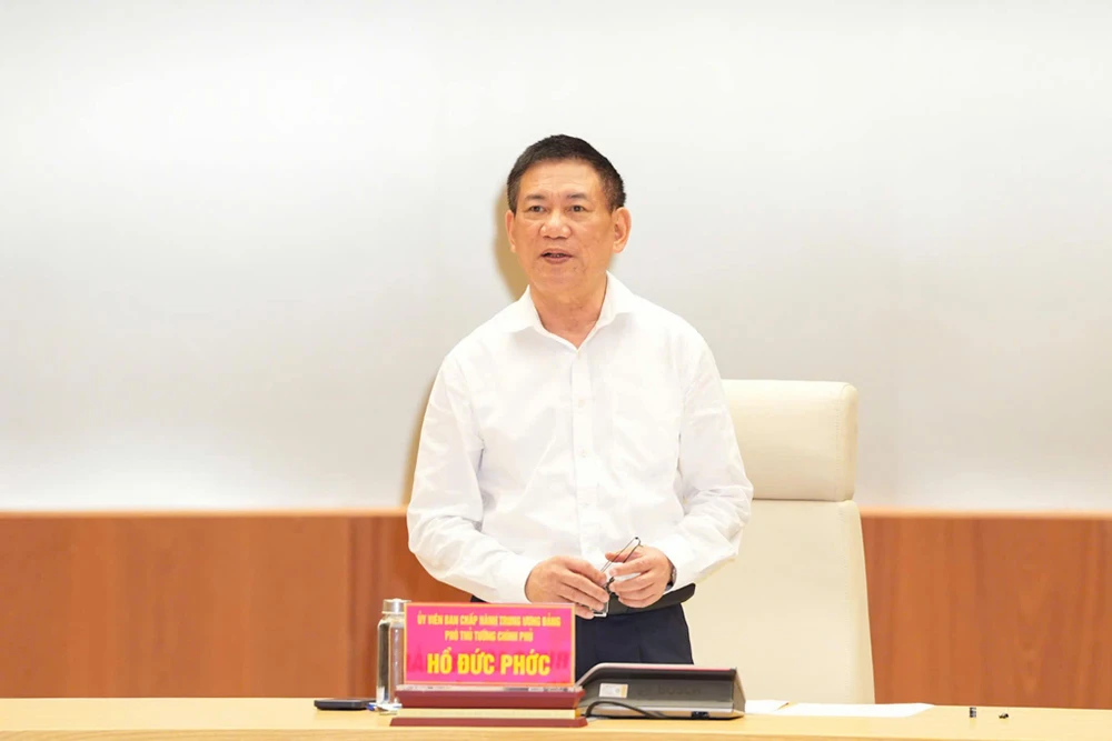 Phó Thủ tướng Hồ Đức Phớc phát biểu tại cuộc làm việc. Ảnh: ĐT