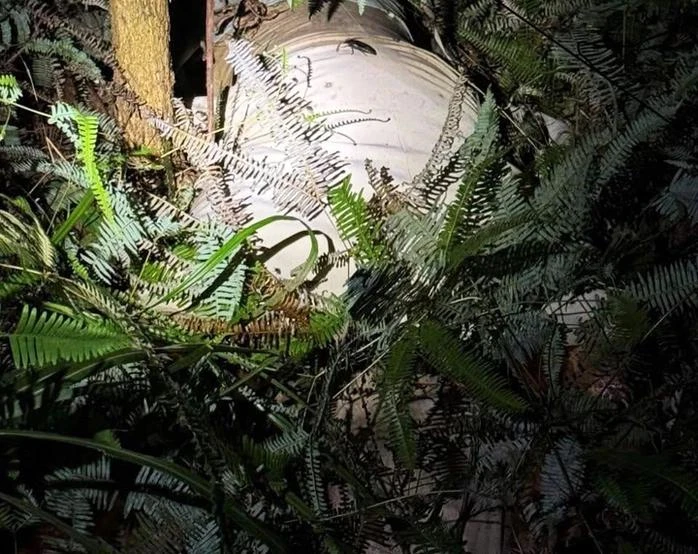 Thi thể nữ giới được phát hiện trong bao tải trên đỉnh đồi phường Móng Cái 3