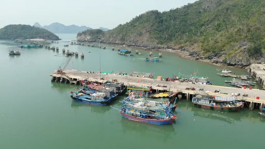 Hải Phòng thông báo cấm biển từ 17 giờ ngày 27-9 để phòng, chống bão số 10. Ảnh: NS