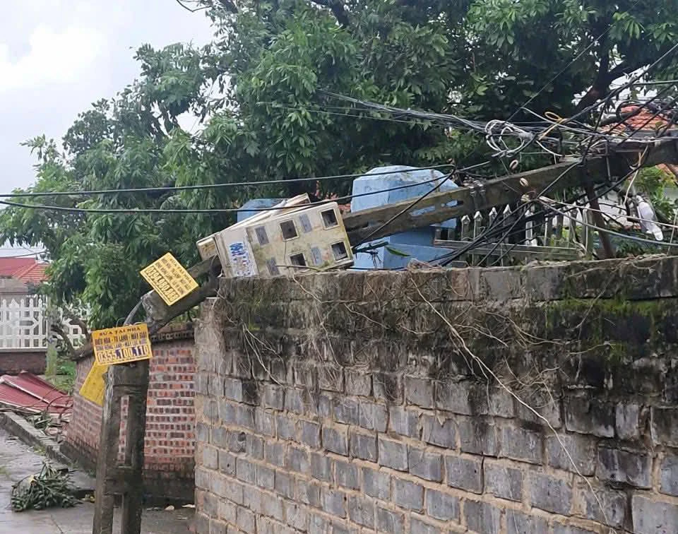 Cơn giốc lốc khiến nhiều cây xanh, cột điện bị gãy đổ. Ảnh: CTV
