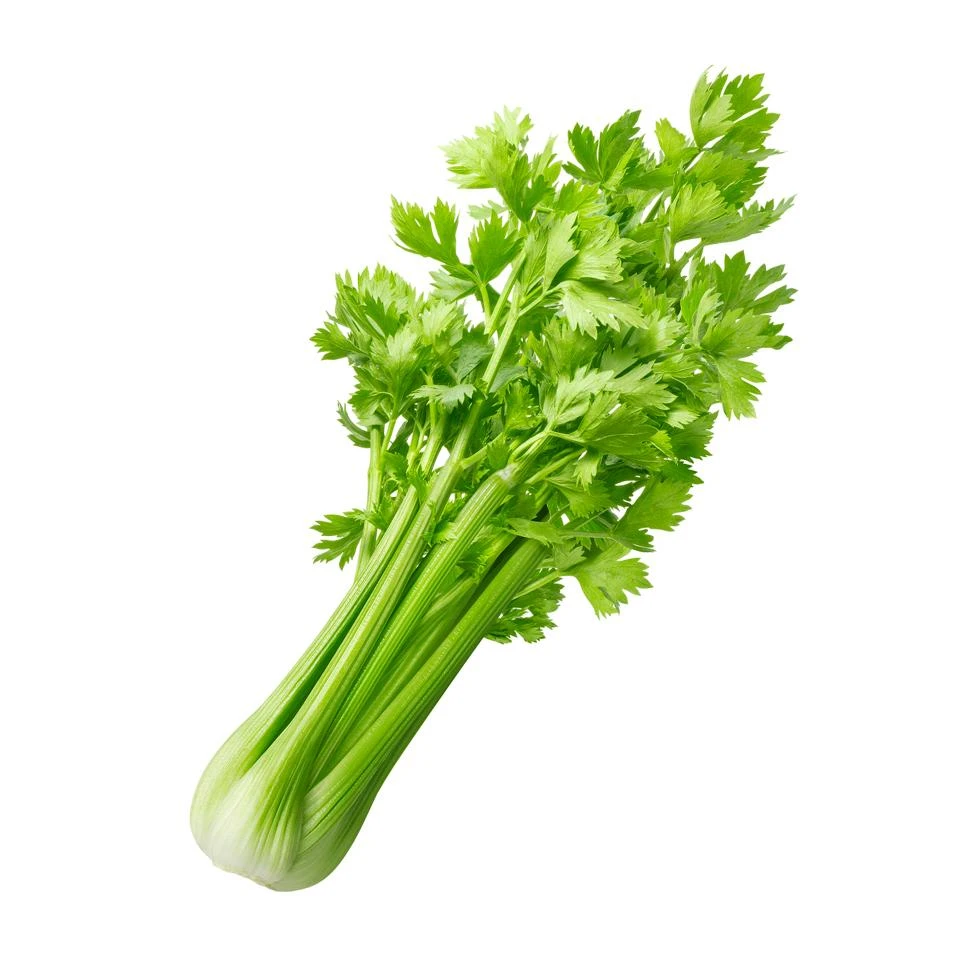 Cần tây có có vị chát, mùi nồng, tính lương (mát). Quy vào 2 kinh vị và can.