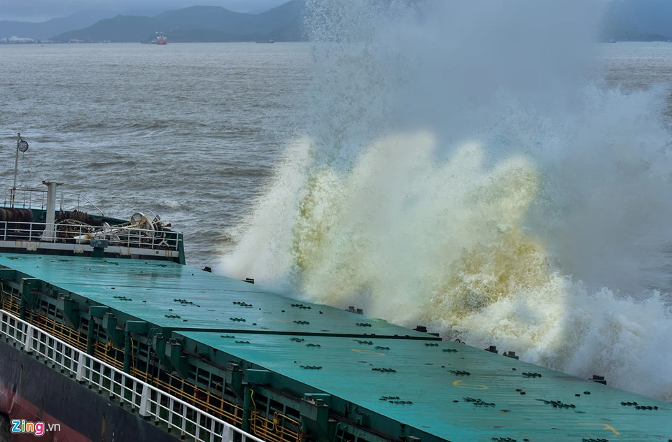 'Nghĩa địa' tàu hàng bị chìm sau bão số 12 ở Quy Nhơn ảnh 7