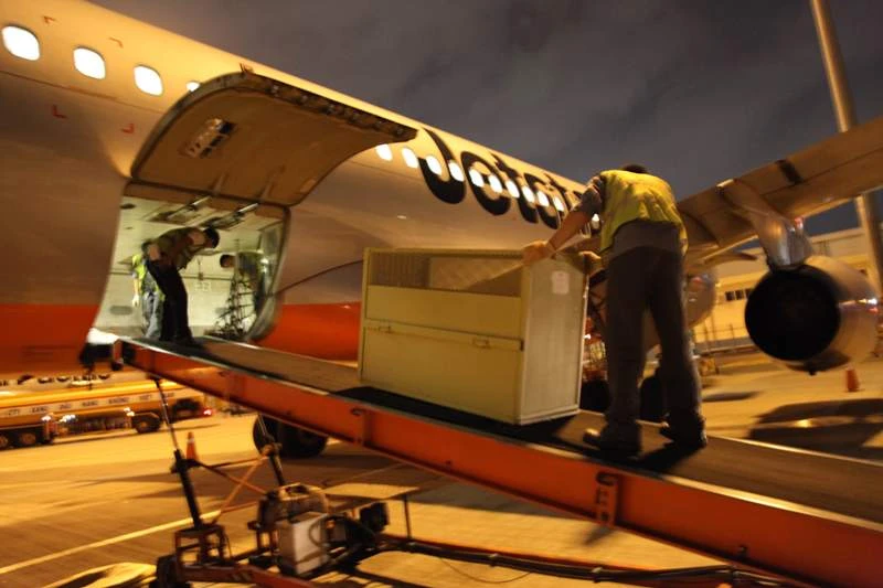 Chở động vật quý hiếm bằng 'chuyên cơ' ra Phú Quốc ảnh 1 Chở động vật quý hiếm bằng 'chuyên cơ' ra Phú Quốc ảnh 1