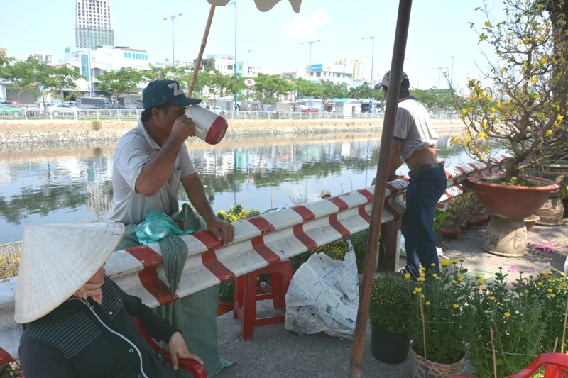 Hoa tết 'khổ' với nắng nóng Sài Gòn ảnh 3 Hoa tết 'khổ' với nắng nóng Sài Gòn ảnh 3