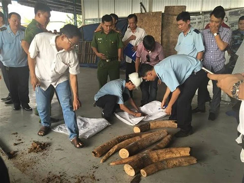 Khởi tố hình sự vụ vận chuyển 900 kg ngà voi châu Phi ảnh 1 Khởi tố hình sự vụ vận chuyển 900 kg ngà voi châu Phi ảnh 1