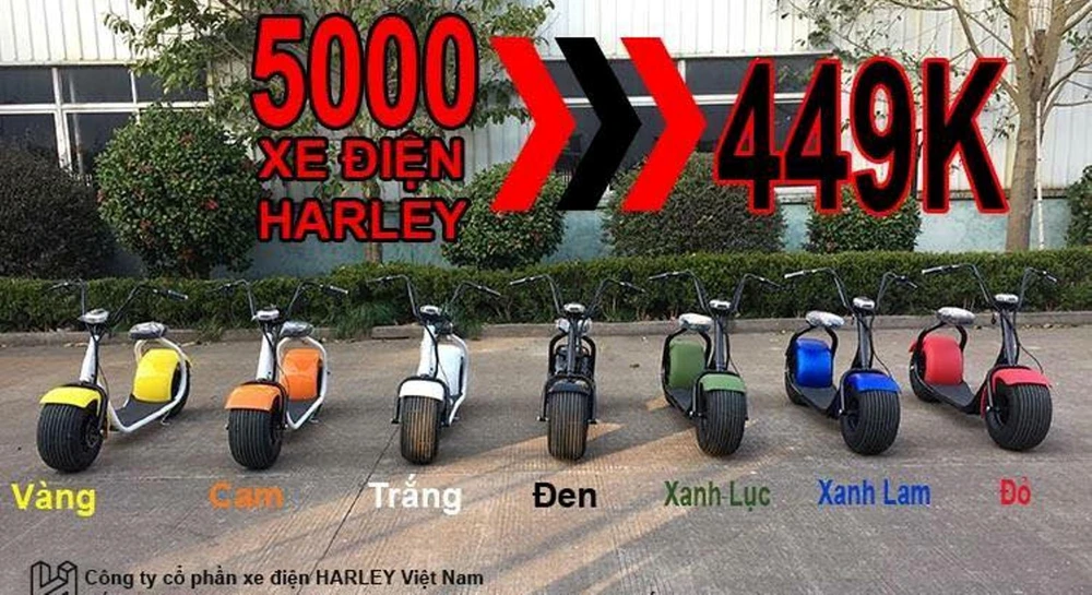 5.000 xe điện có dấu hiệu giả tài liệu Bộ Công Thương ảnh 1