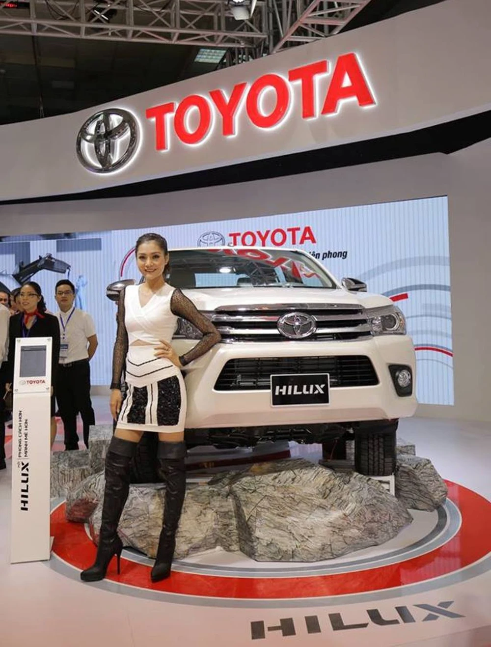 Ô tô nhập khẩu bí đường về VN, kêu cứu Chính phủ ảnh 1