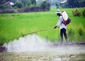 Hiểm họa thực phẩm bị tồn dư thuốc bảo vệ thực vật