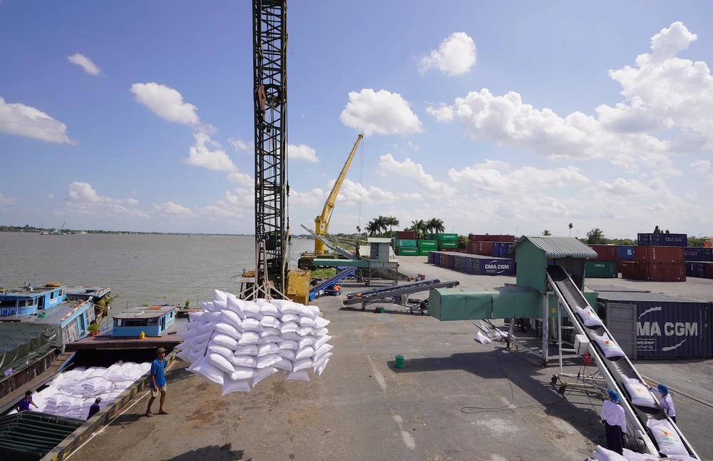 giá gạo xuất khẩu