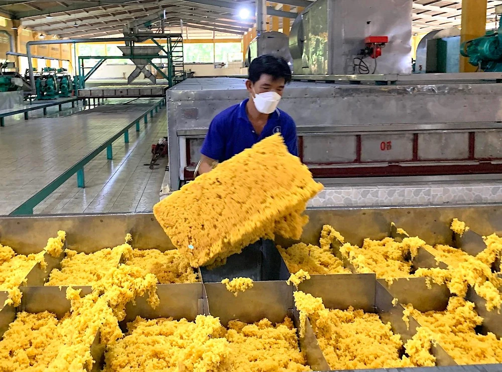 Ngành cao su kiến nghị đẩy nhanh thủ tục hoàn thuế, xem xét áp dụng chính sách miễn tiền thuê đất cho vườn cây cao su tái canh. Ngành cao su kiến nghị đẩy nhanh thủ tục hoàn thuế, xem xét áp dụng chính sách miễn tiền thuê đất cho vườn cây cao su tái canh.