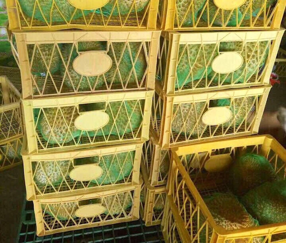 Sầu riêng tươi của Việt Nam sẽ xuất khẩu chính ngạch vào Trung Quốc sẽ tăng mạnh.