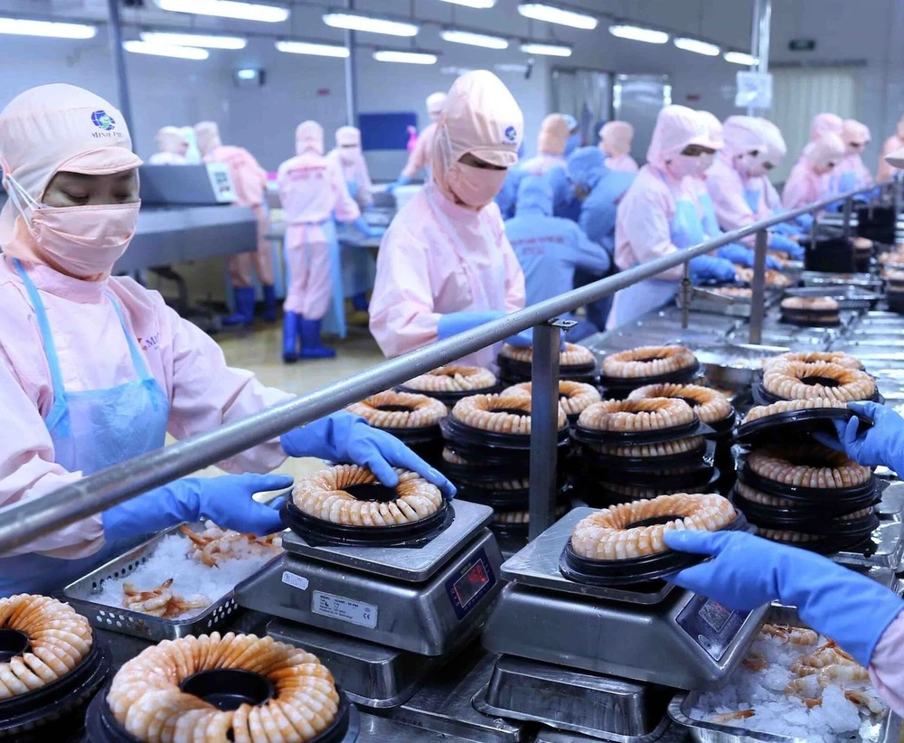 Xuất khẩu tôm đang gặp nhiều khó khăn khi các thị trường giảm đơn hàng lẫn giá xuất khẩu đều giảm.