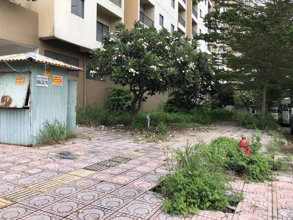 căn hộ tái định cư