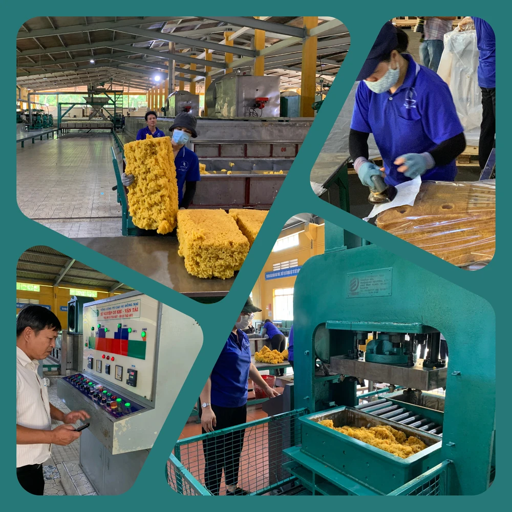 ngành cao su Việt Nam hướng tới sản xuất xanh