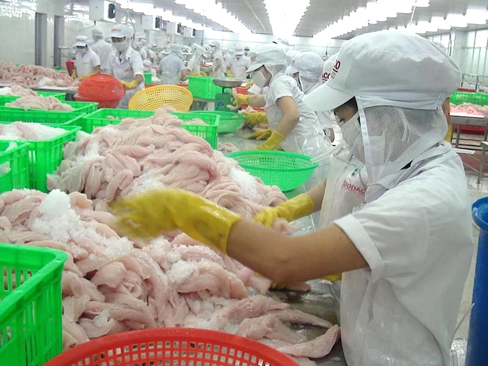 cá tra xuất khẩu