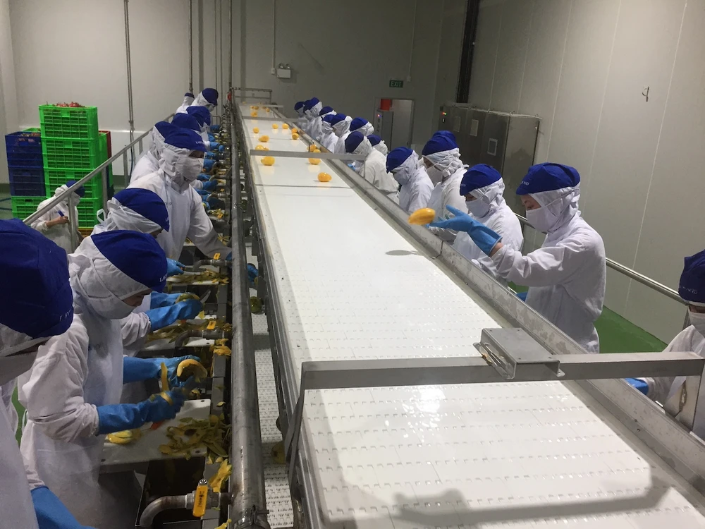 doanh nghiệp Việt