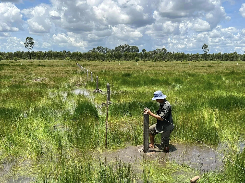 Chuyên gia kiến nghị chính sách tính tiền sử dụng đất khi chuyển mục đích lên đất ở dựa trên cam kết về thời gian chuyển nhượng và mục đích sử dụng. Ảnh: QH