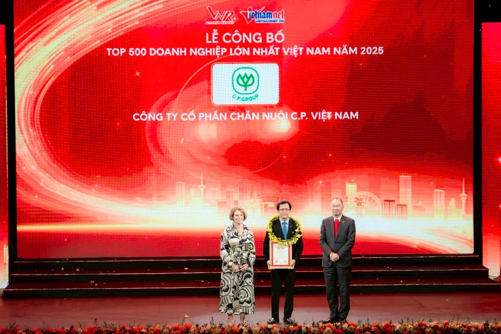 C.P.-Viet-nam-VNR500-top-500-h2.JPG