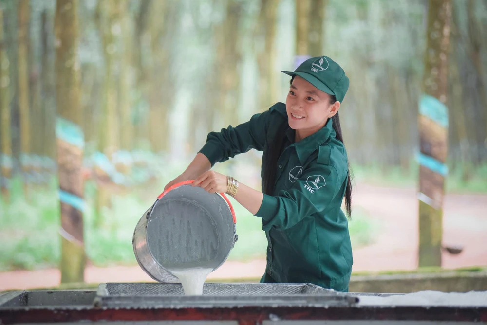 Công nhân tập kết mủ về nhà máy.JPG