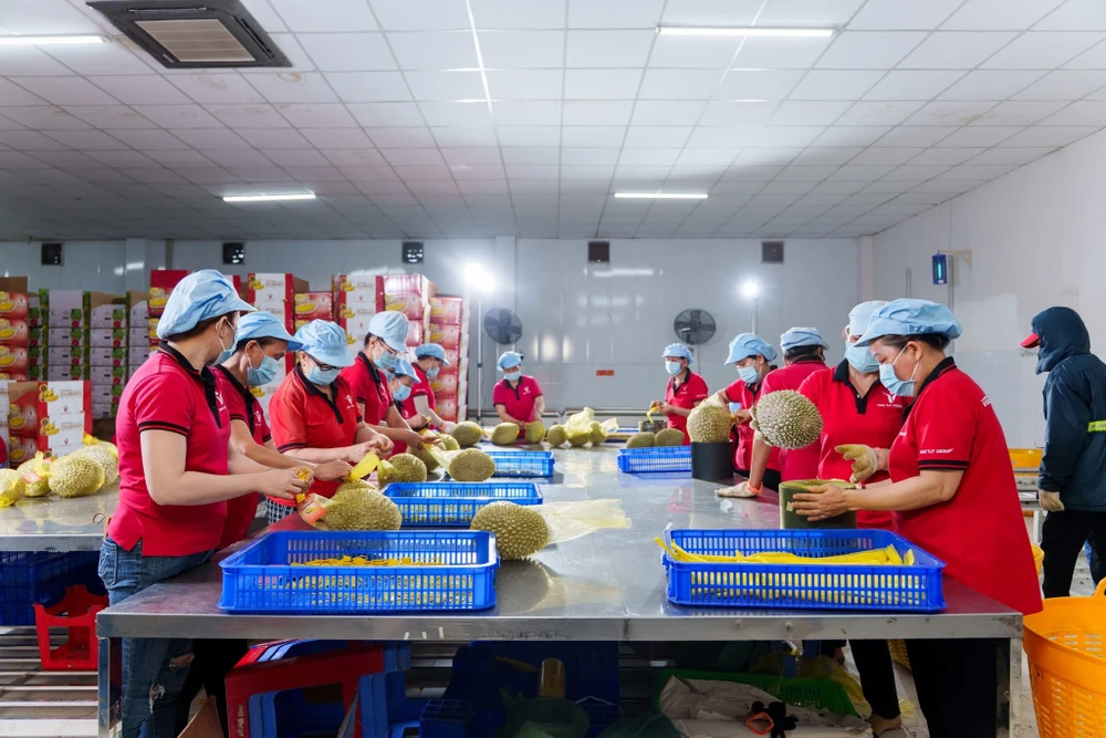 cat-giam-thu-tuc-hanh-chinh-dong-von-doanh-nghiep6.JPG