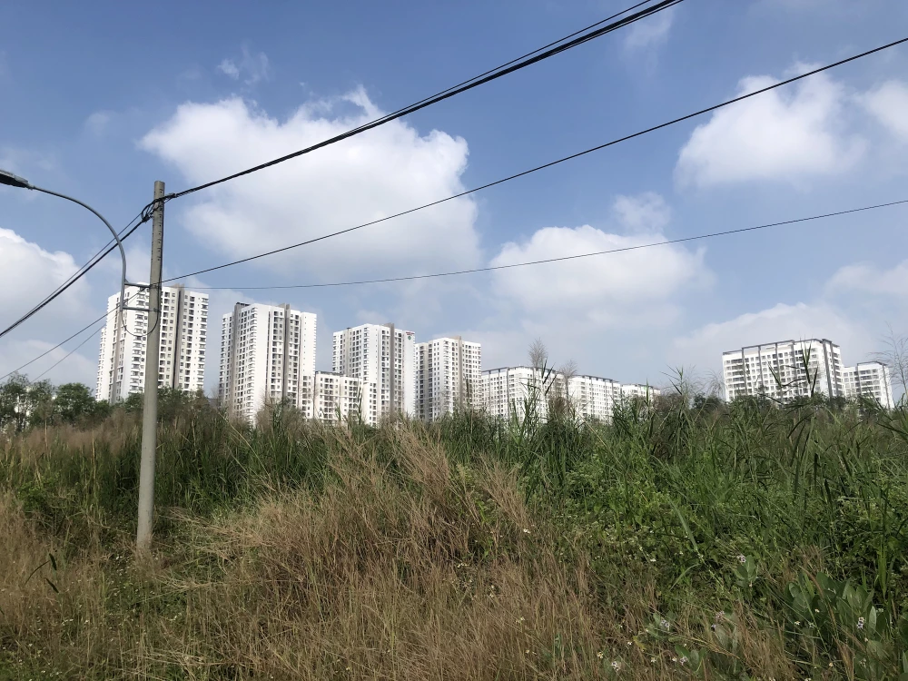 du-an-ton-dong-thao-go-phap-ly-horea.JPG