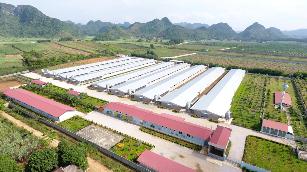 FPT-CP-viet-nam-AI-nong-nghiep-thuc-pham4.JPG
