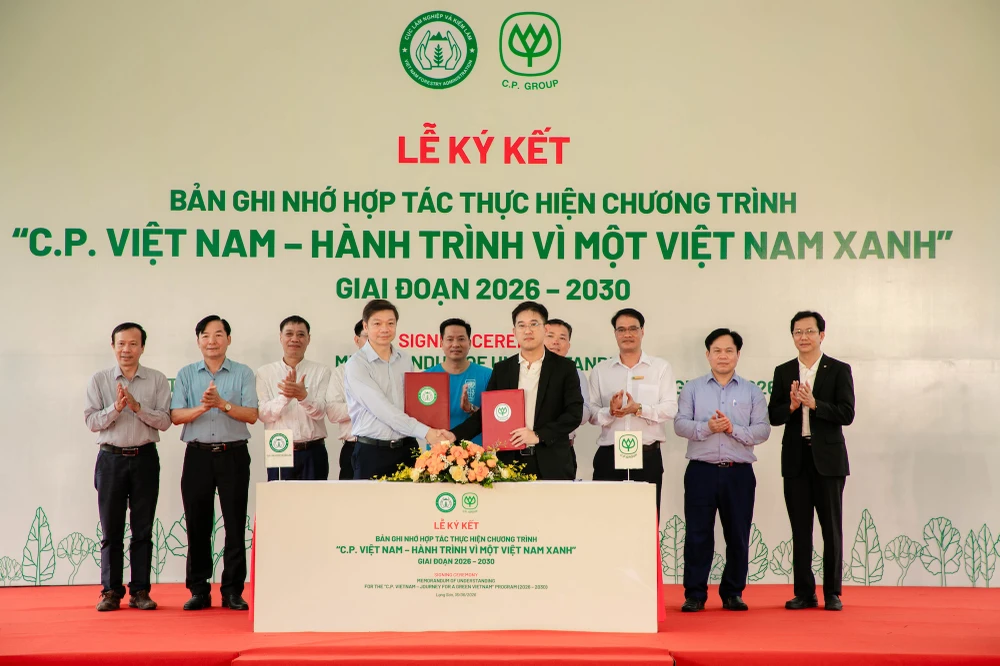 C.P.-Viet-nam-trong-cay-giong-cay-xanh-lam-nghiep2.jpg