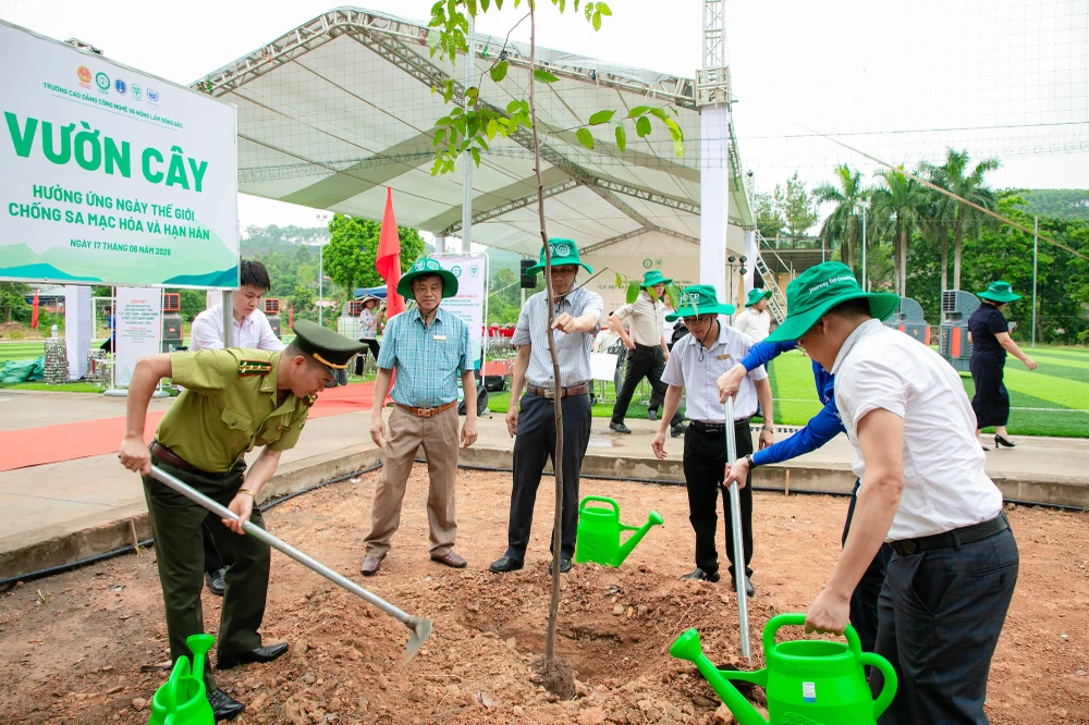 C.P.-Viet-nam-trong-cay-giong-cay-xanh-lam-nghiep3.jpg