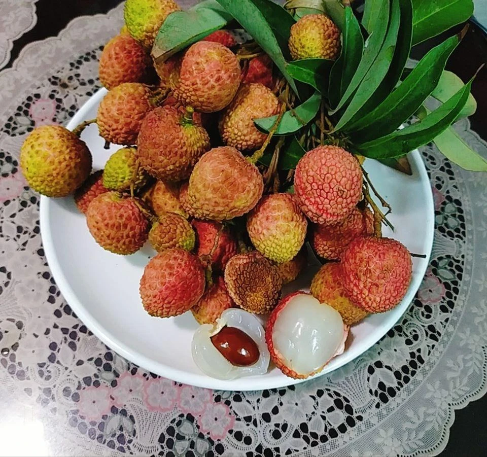 luy-y-an-vai-tranh-ngo-doc