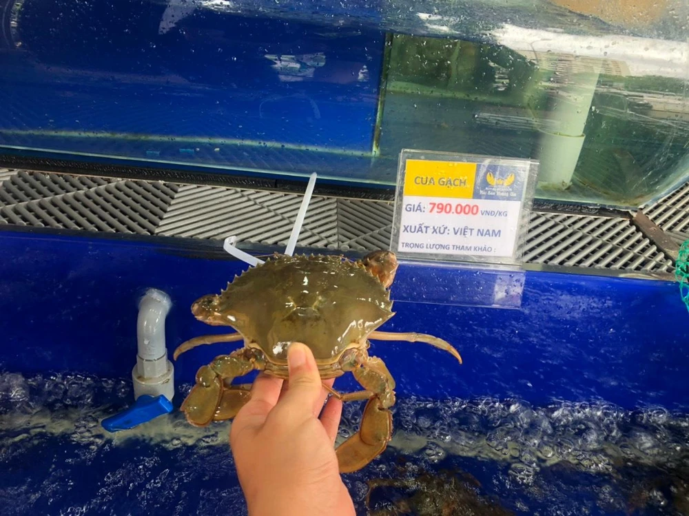 1 kg cua gạch có giá 790.000 đồng. ẢNH: THU HÀ