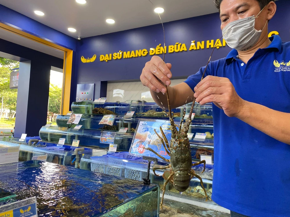 Tôm hùm đang giảm giá. Ảnh: THU HÀ