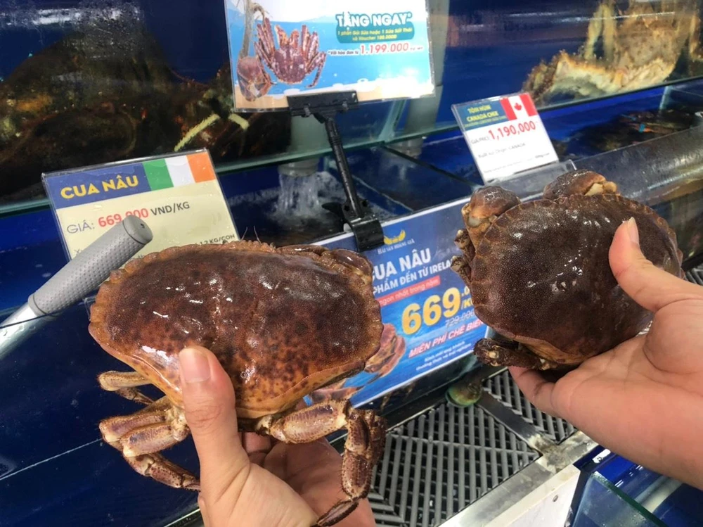 Người tiêu dùng nên lựa chọn hải sản tươi sống hoặc hải sản đông lạnh có đầy đủ thông tin nhập khẩu, hạn sử dụng để đảm bảo an toàn khi ăn. ẢNH: HẠ QUYÊN