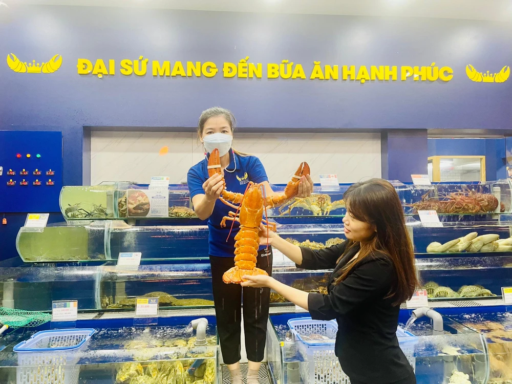 Khách hàng thích thú trước con tôm hùm Canada có màu đặc sắc này.