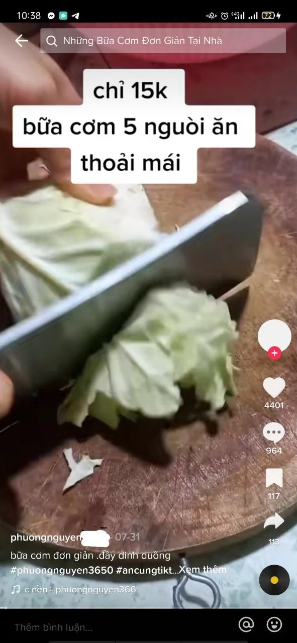 Những thử thách nấu ăn chỉ với 15 ngàn đồng/bữa đang nhận được nhiều ý kiến trái chiều từ người dùng mạng xã hội. ẢNH: Chụp màn hình