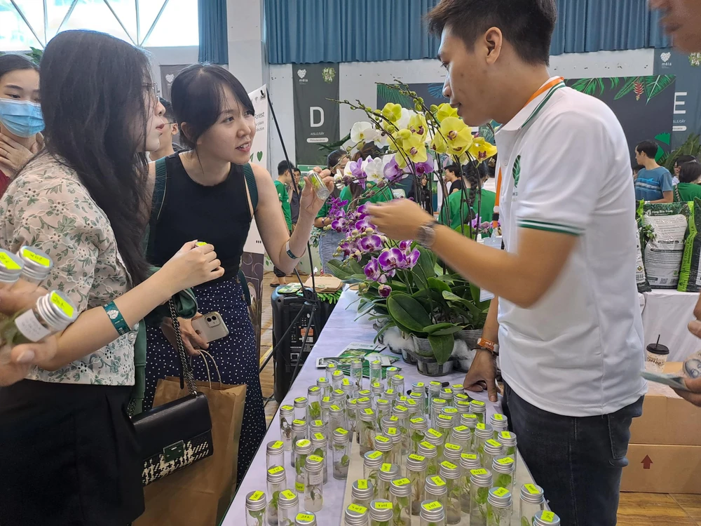 Các sản phẩm cấy mô kiểng lá VAR (đột biến) được đơn vị Xanh Xanh (Hà Nội),giới thiệu tới người yêu lá tại TP.HCM. Ảnh: THU HÀ