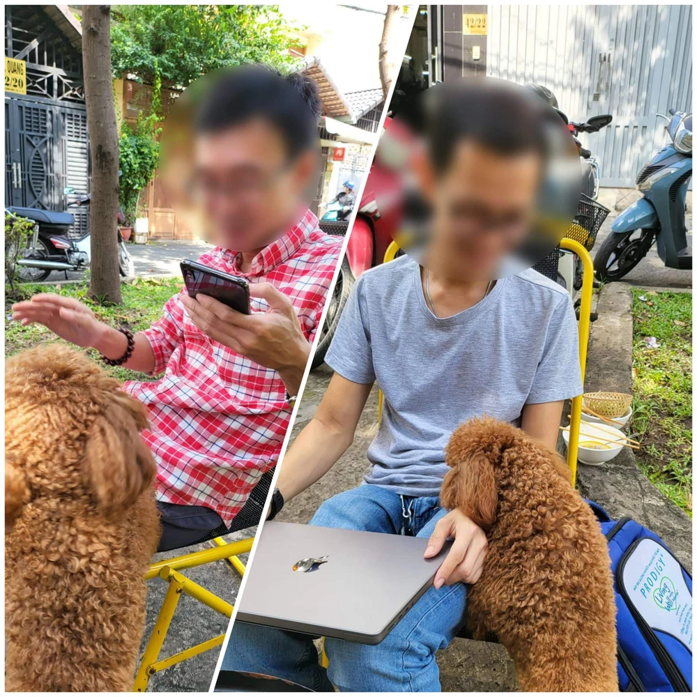 Âu yếm thú cưng cũng có thể là nguyên nhân lây bệnh giun đũa chó mèo