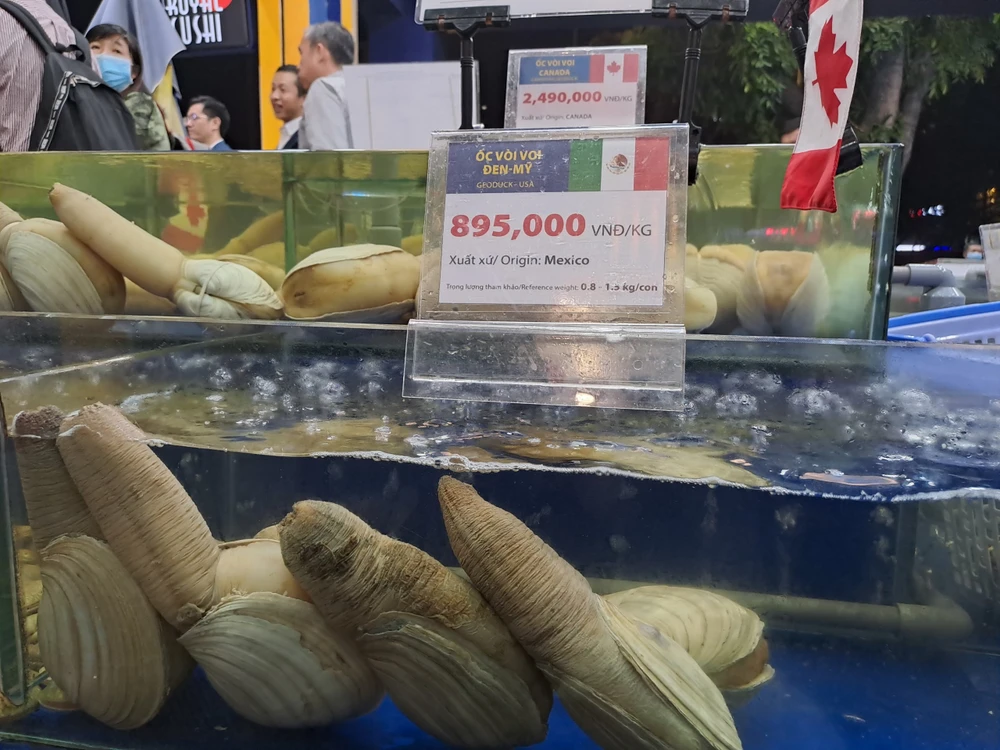 Ốc vòi voi đen có giá bán chưa tới 1 triệu đồng/kg. ẢNH: THU HÀ