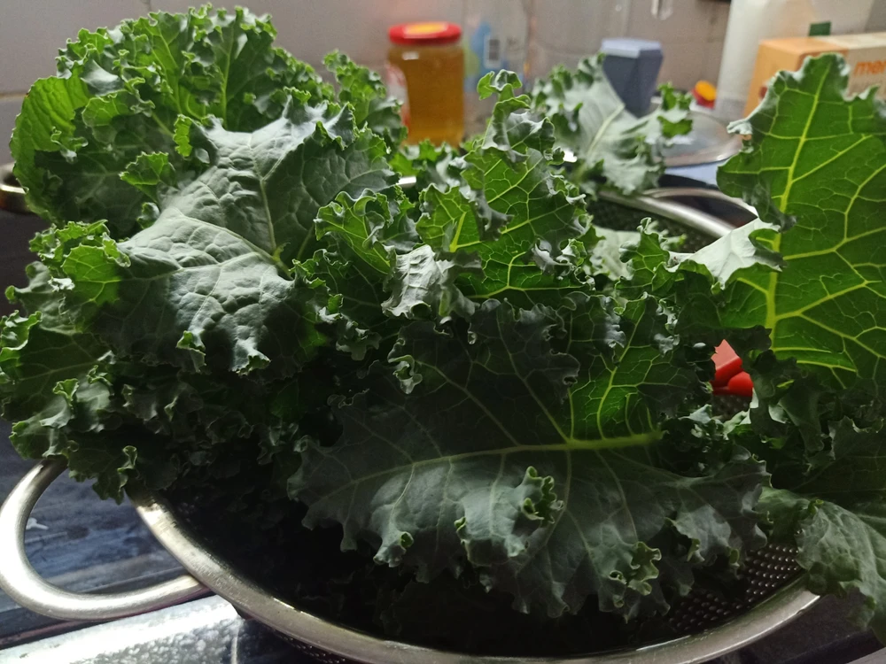 bao-ve-gan Rau họ cải giàu dinh dưỡng giúp cơ thể giải độc một cách tự nhiên.