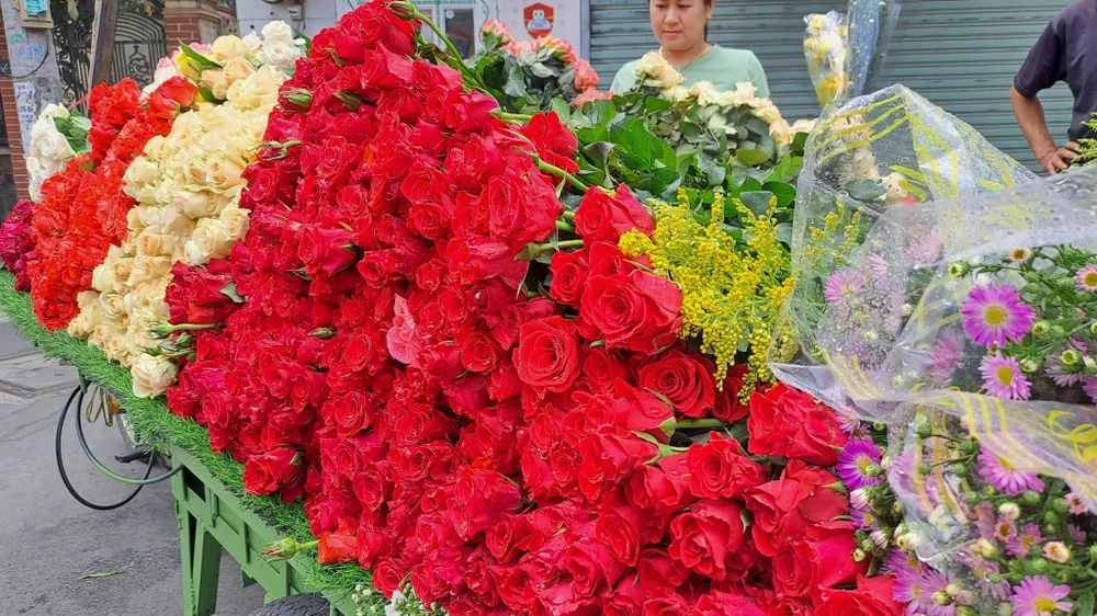 Hồng đỏ đang được cắt và bán tại vườn với giá 600 đồng/bông. Ảnh: THU HÀ