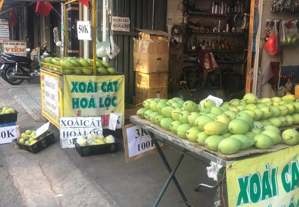 Xoài cát Hòa Lộc đang được bán với giá 100.000 đồng/3kg. Ảnh: HẠ QUYÊN