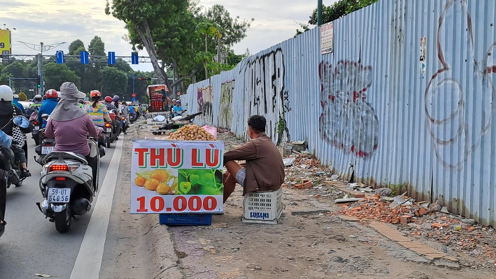 Thù lù giống Nam Mỹ được bán với giá ăn thử 10.000 đồng/lạng, và 120.000 đồng/kg. Ảnh: THU HÀ Thù lù giống Nam Mỹ được bán với giá ăn thử 10.000 đồng/lạng, và 120.000 đồng/kg. Ảnh: THU HÀ