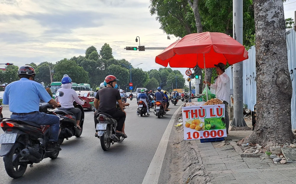 Người bán cho biết thù lù này giống như quả thù lù thường mọc dại ở các vùng quê, nhưng có vị thanh dễ ăn và kích cỡ to hơn. Ảnh: THU HÀ Người bán cho biết thù lù này giống như quả thù lù thường mọc dại ở các vùng quê, nhưng có vị thanh dễ ăn và kích cỡ to hơn. Ảnh: THU HÀ