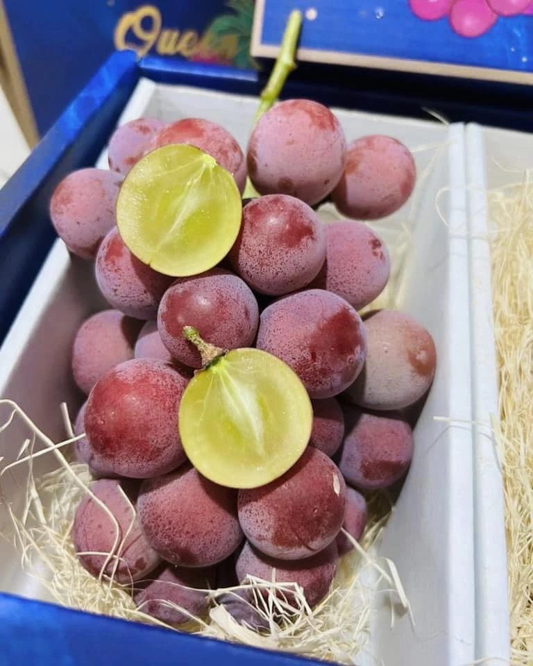 Nho Ruby Roman được giới thiệu là trồng ở Trung Quốc nên giá bán chỉ 530.000 - 570.000 đồng/kg gồm 2 chùm. Ảnh: Huyền Thanh.