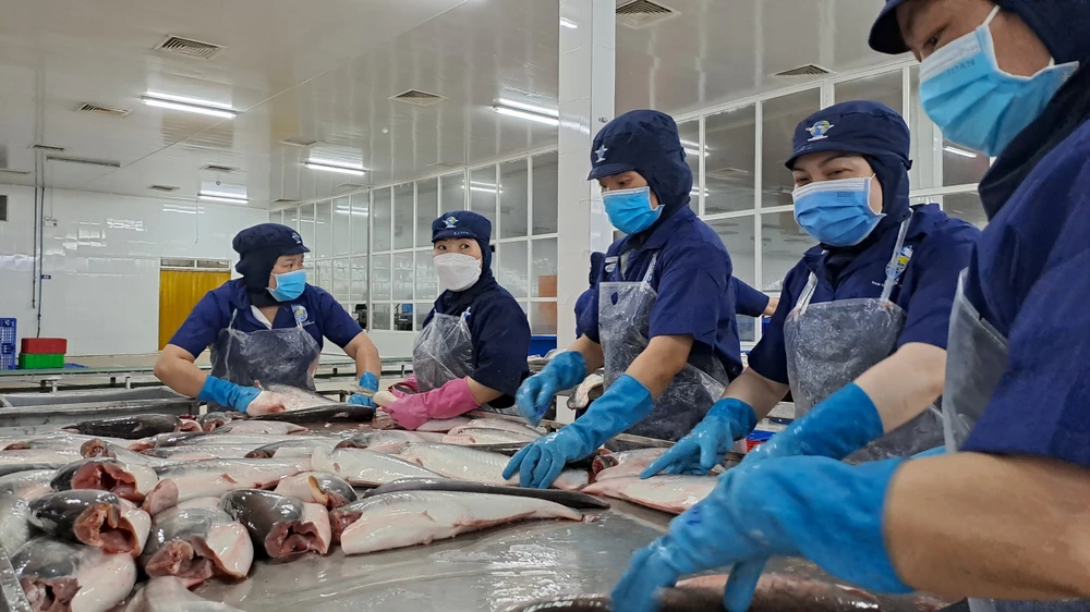 Thị trường nội địa đang là điểm sáng đối với các doanh nghiệp sản xuất cá tra Việt Nam. Ảnh: THU HÀ