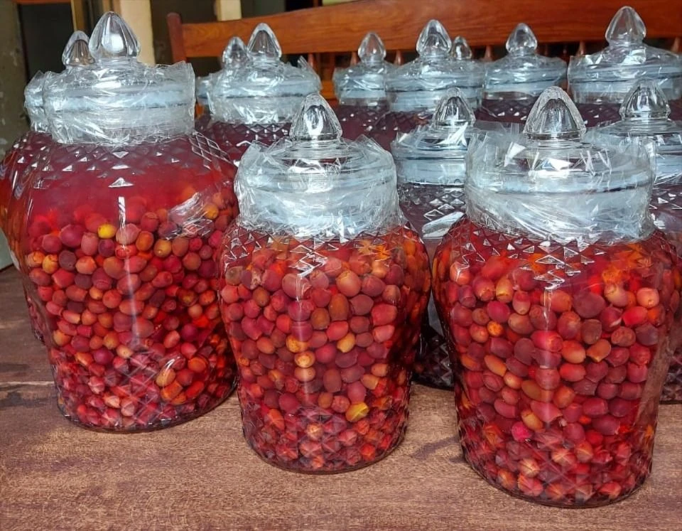rượu ngâm hoa quả