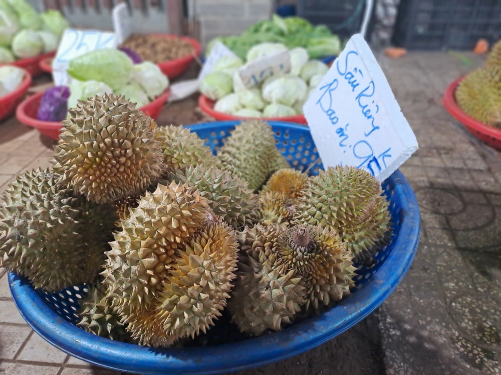 SẦU RIÊNG THÁI LAN MINI