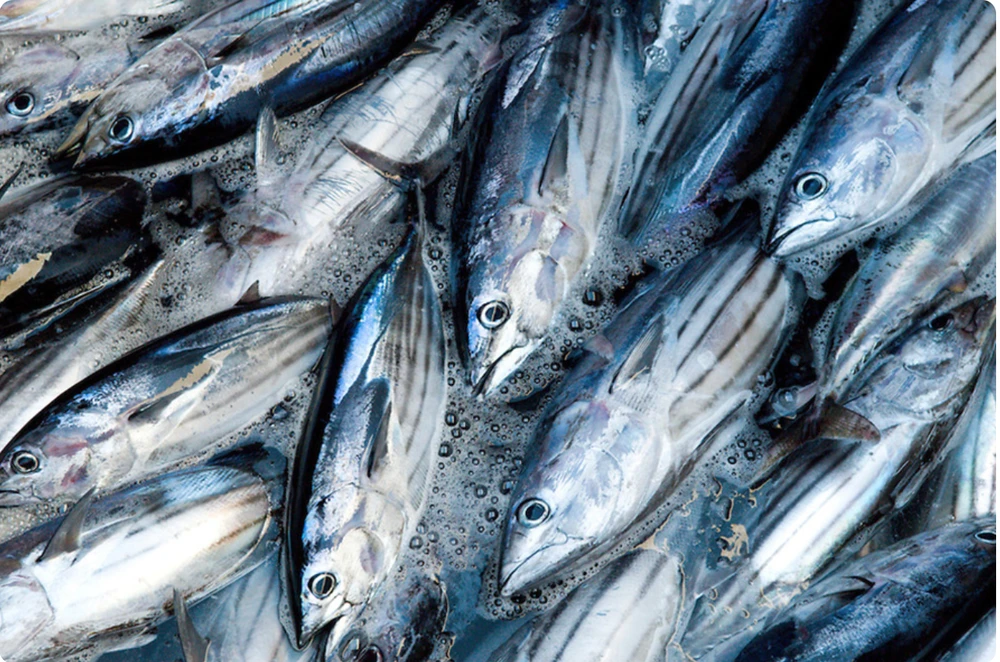 Xuất khẩu thủy sản